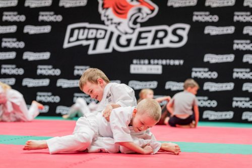 Chłopcy walczący na treningu judo (Judo Tigers)