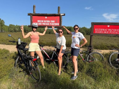 509935307 29982322001412844 6692015253660937962 n