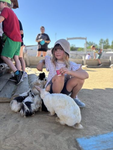 515125409 1278395184294526 4608746696973245767 n