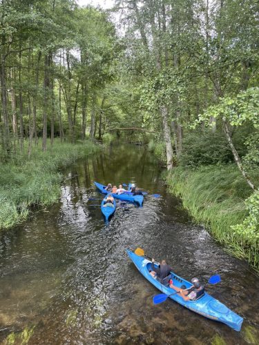 526296904 1302616855205692 5379823206998790452 n