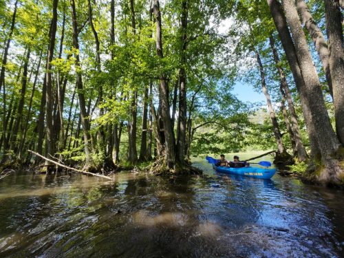 b8fa882d-4ed3-4ff4-a6d5-11890a54a017