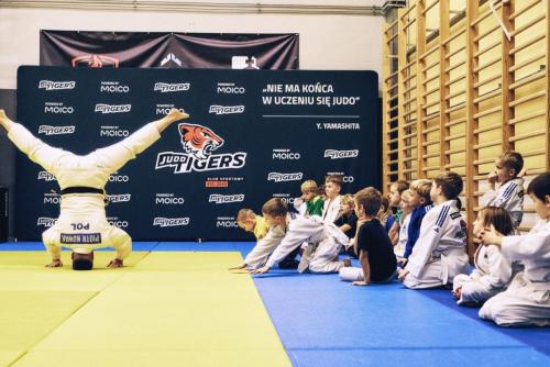 jucy BSA  20251028 63281-Large